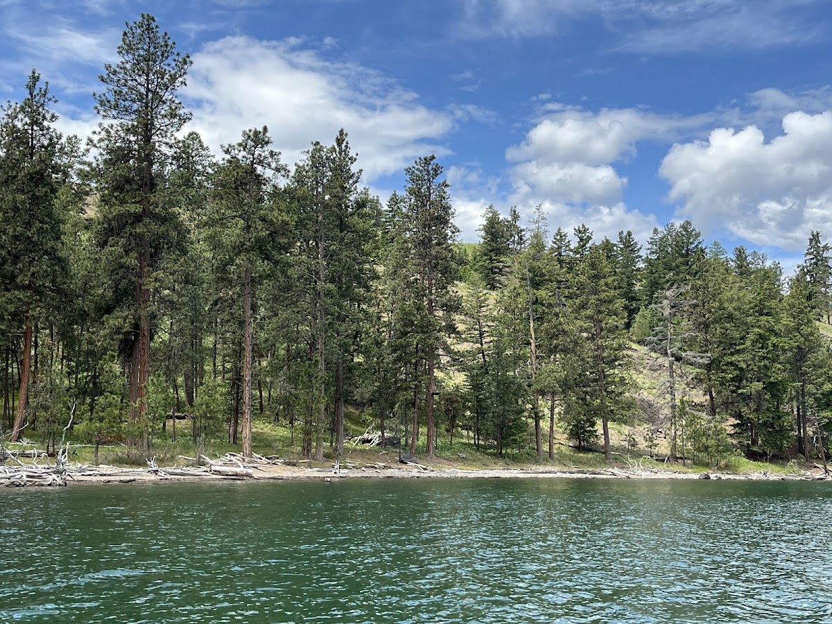Wild Horse Island