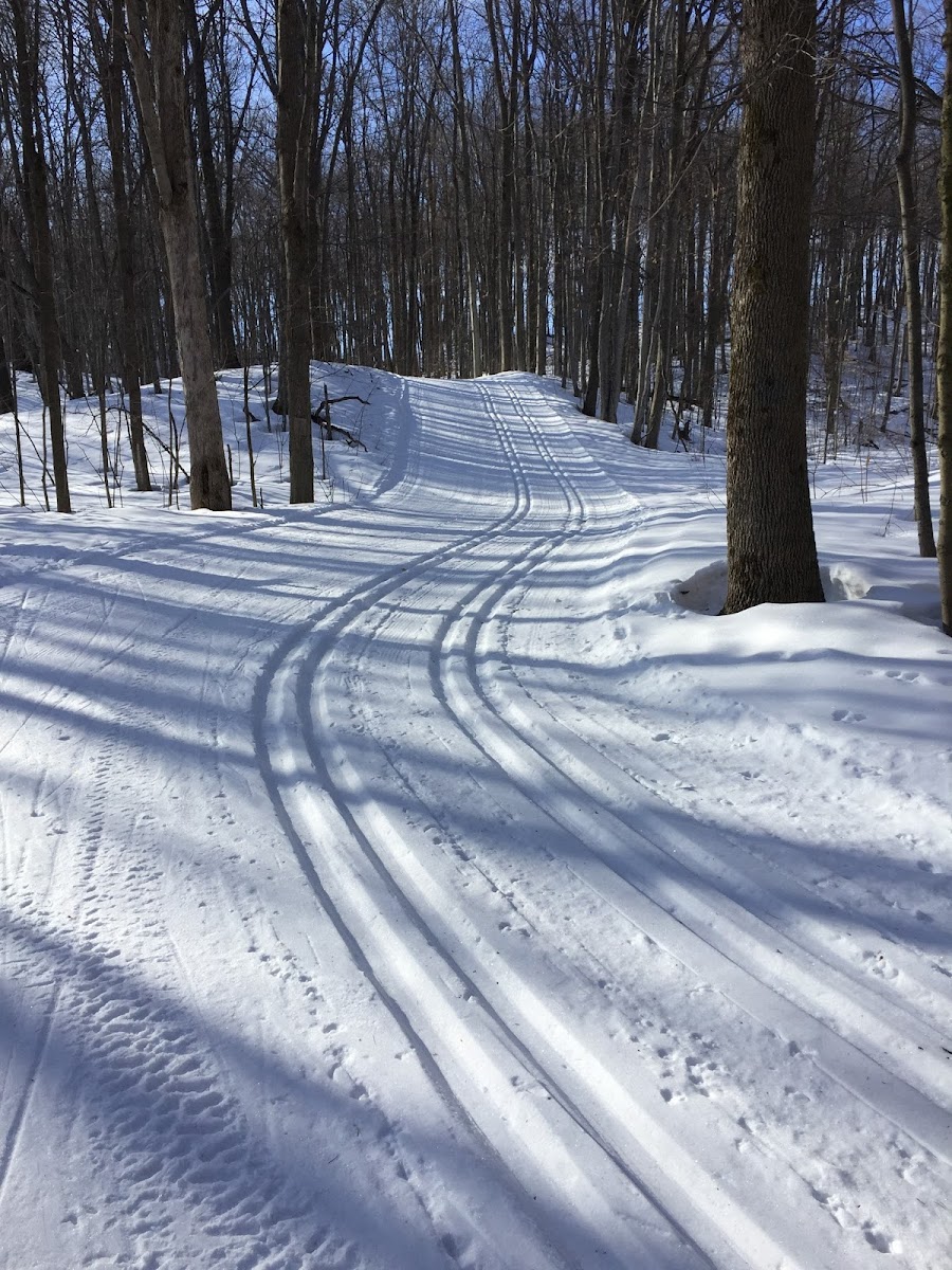 Mountainview Ski Centre