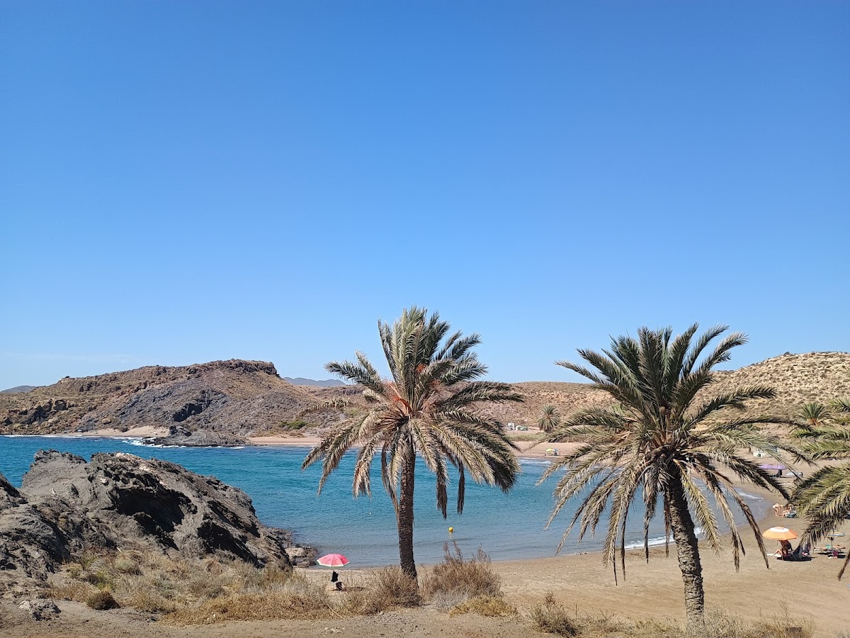 Playa de Percheles