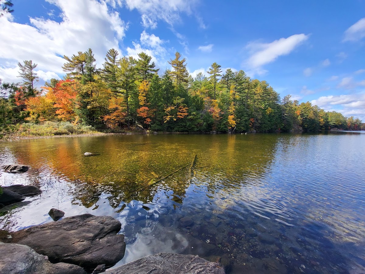 Hardy Lake