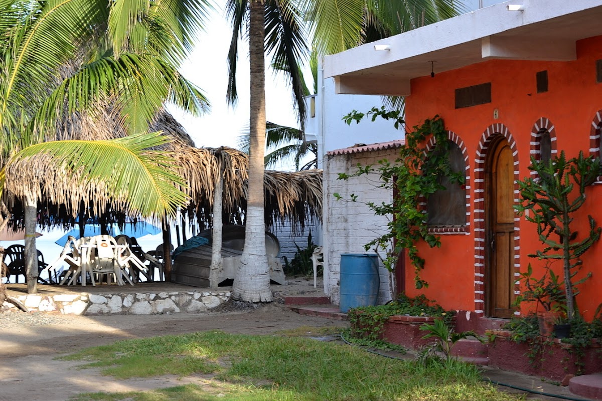 el calypso photo 3