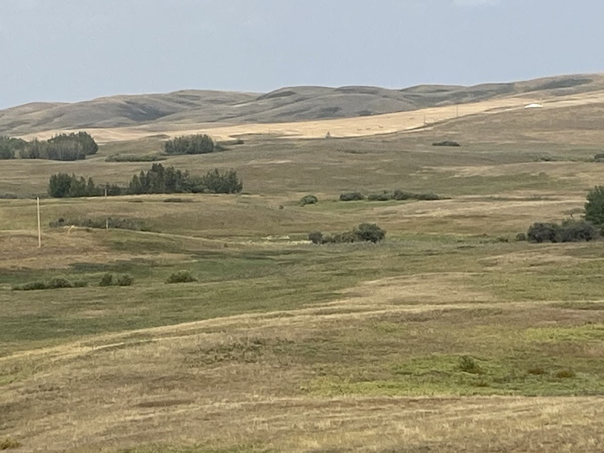 Antelope Hill Provincial Park