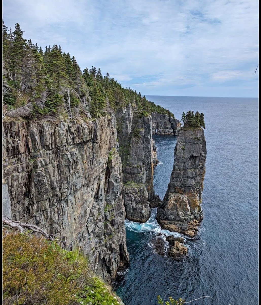 East Coast Trail