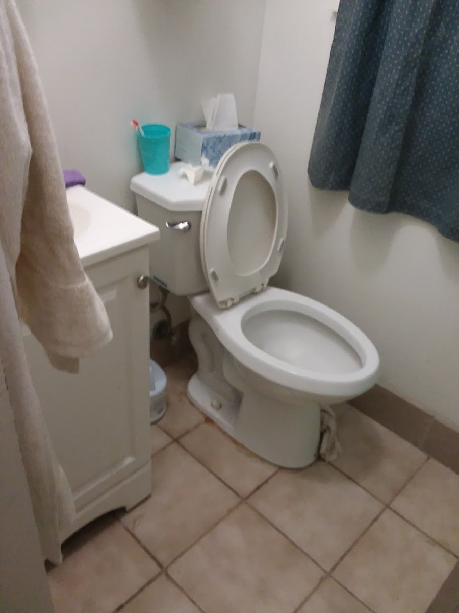 Room 5