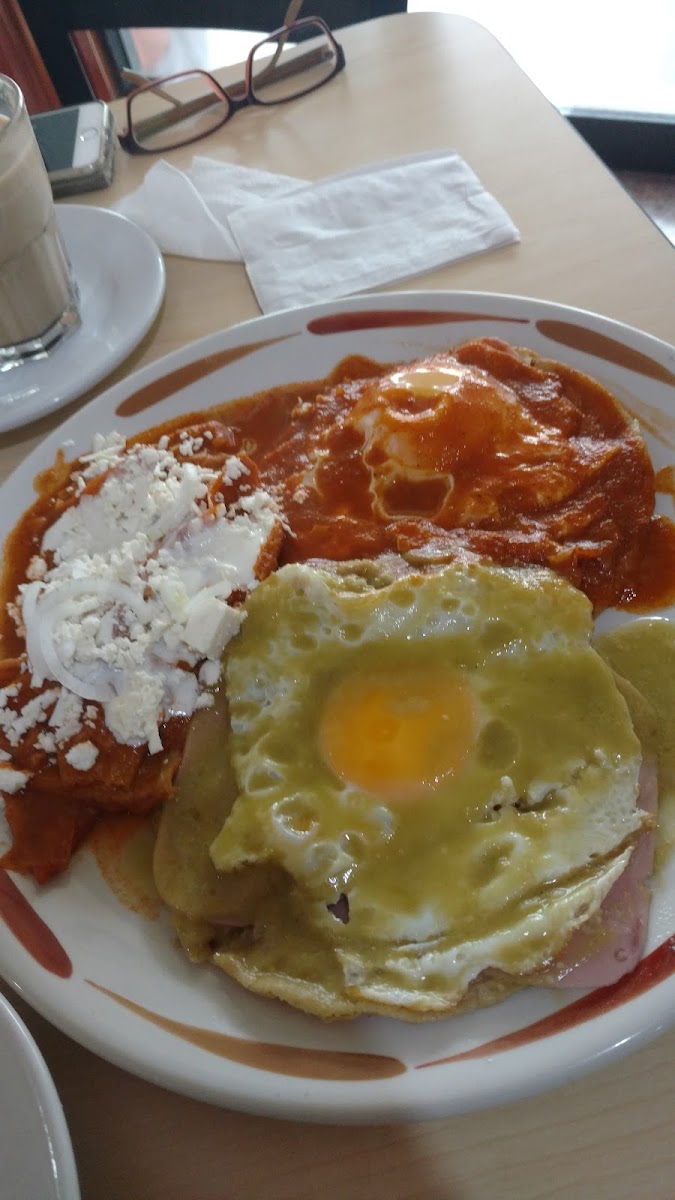 Hotel Plaza Apizaco photo 3
