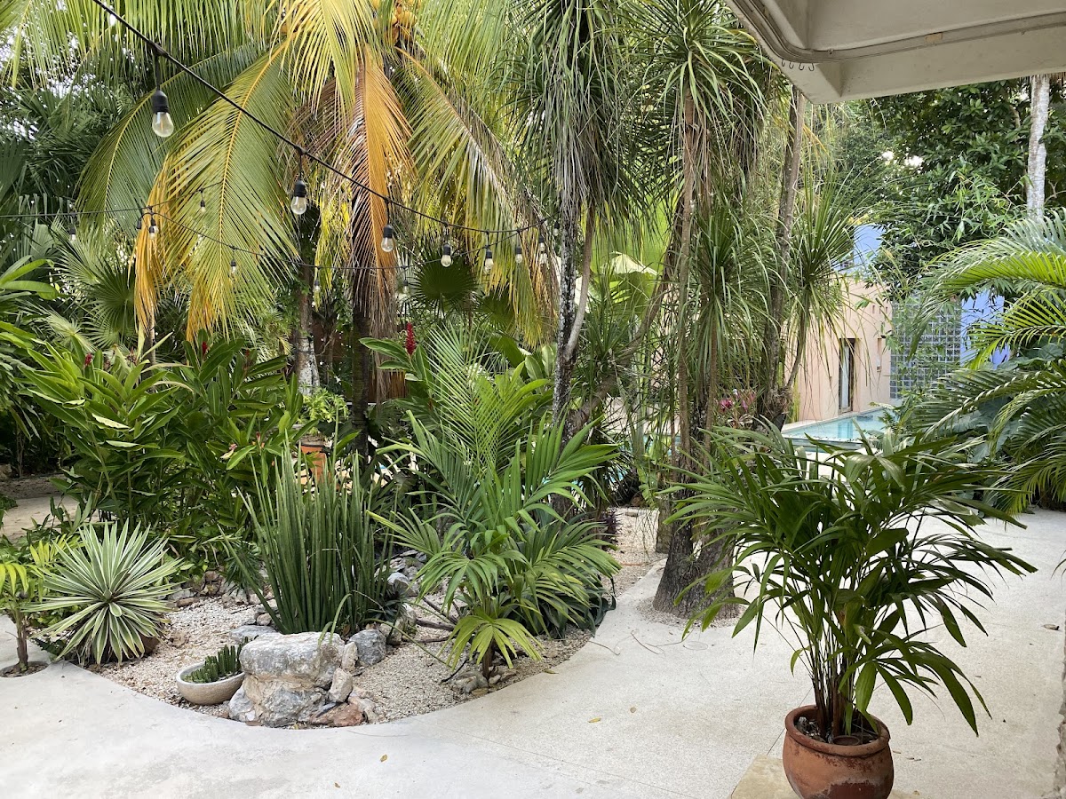 El Jardin Guesthouse Valladolid photo 3