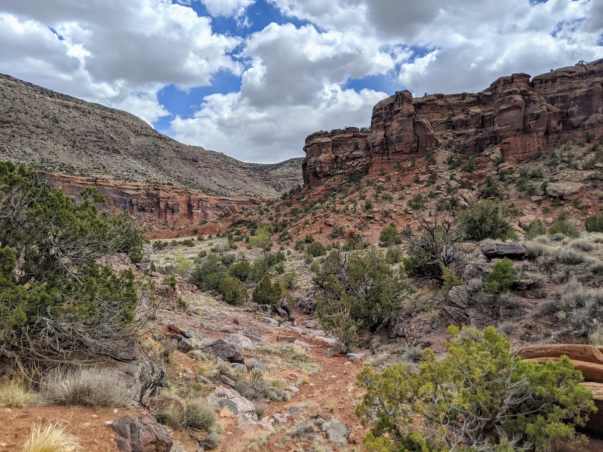 Dominguez-Escalante National Conservation Area