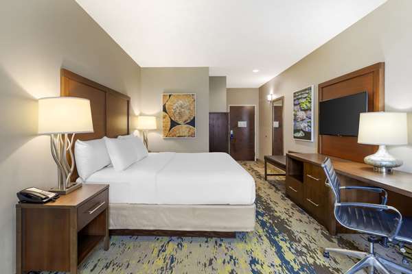 Comfort Inn & Suites Valdosta I-75 photo 2