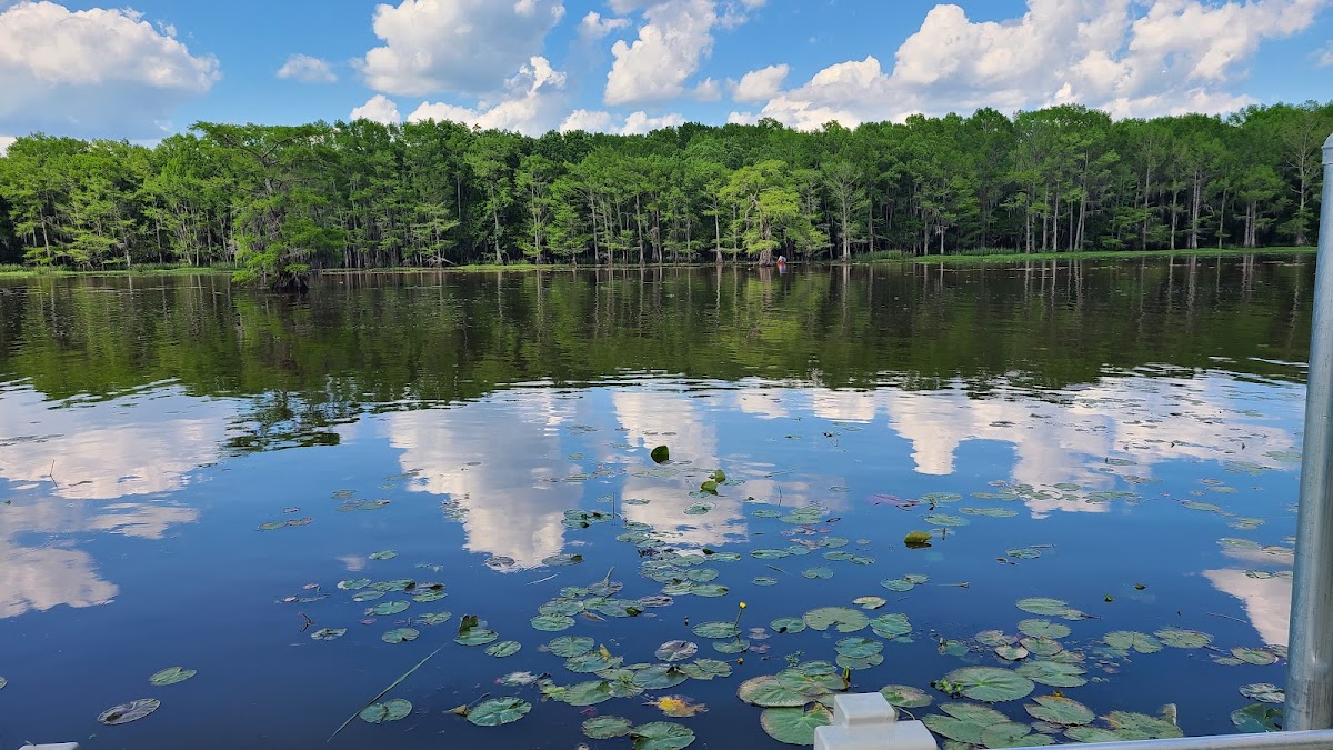 Caddo Lake National Wildlife Refuge