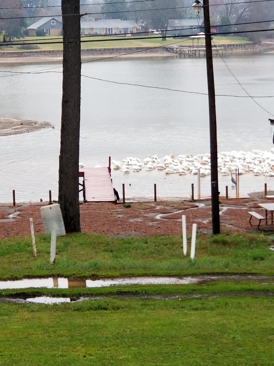 Lake Front Motel photo 3