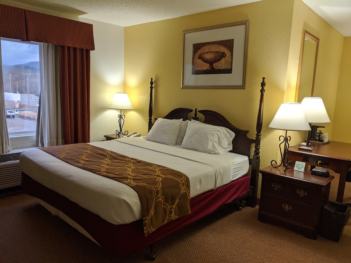 Mountain Inn & Suites I-26 Exit 40
