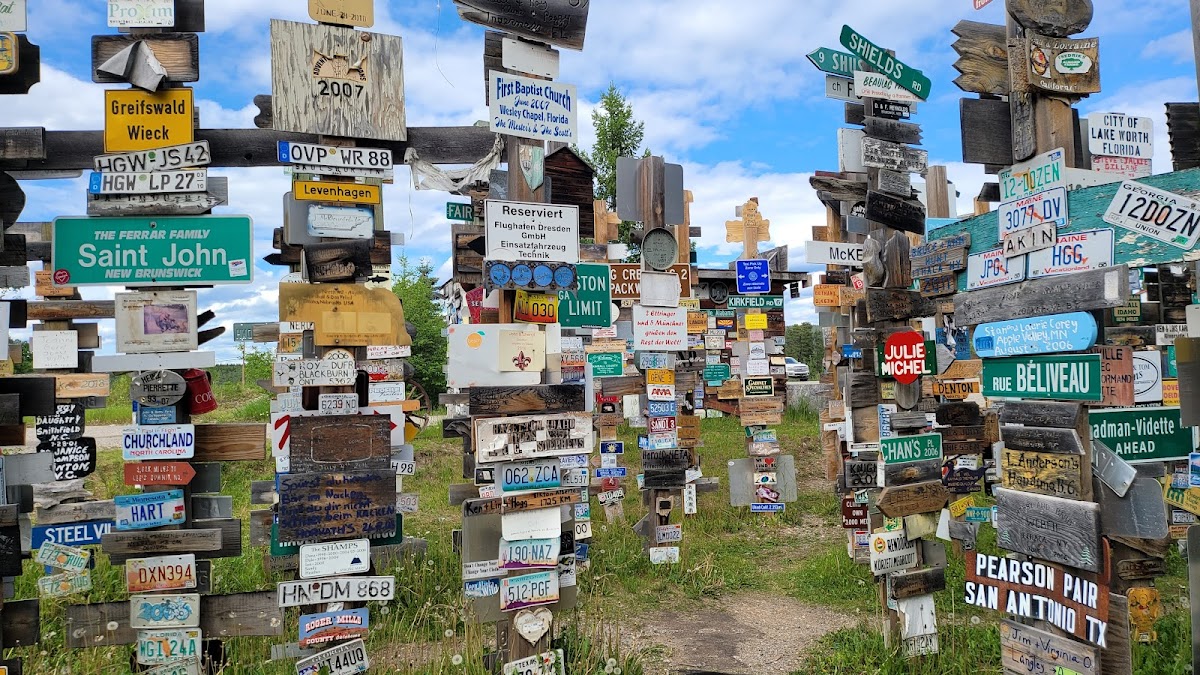 Sign Post Forest