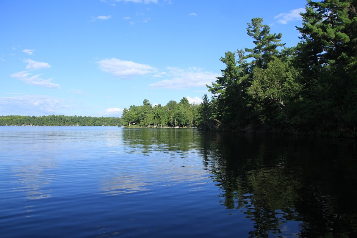 Otty Lake