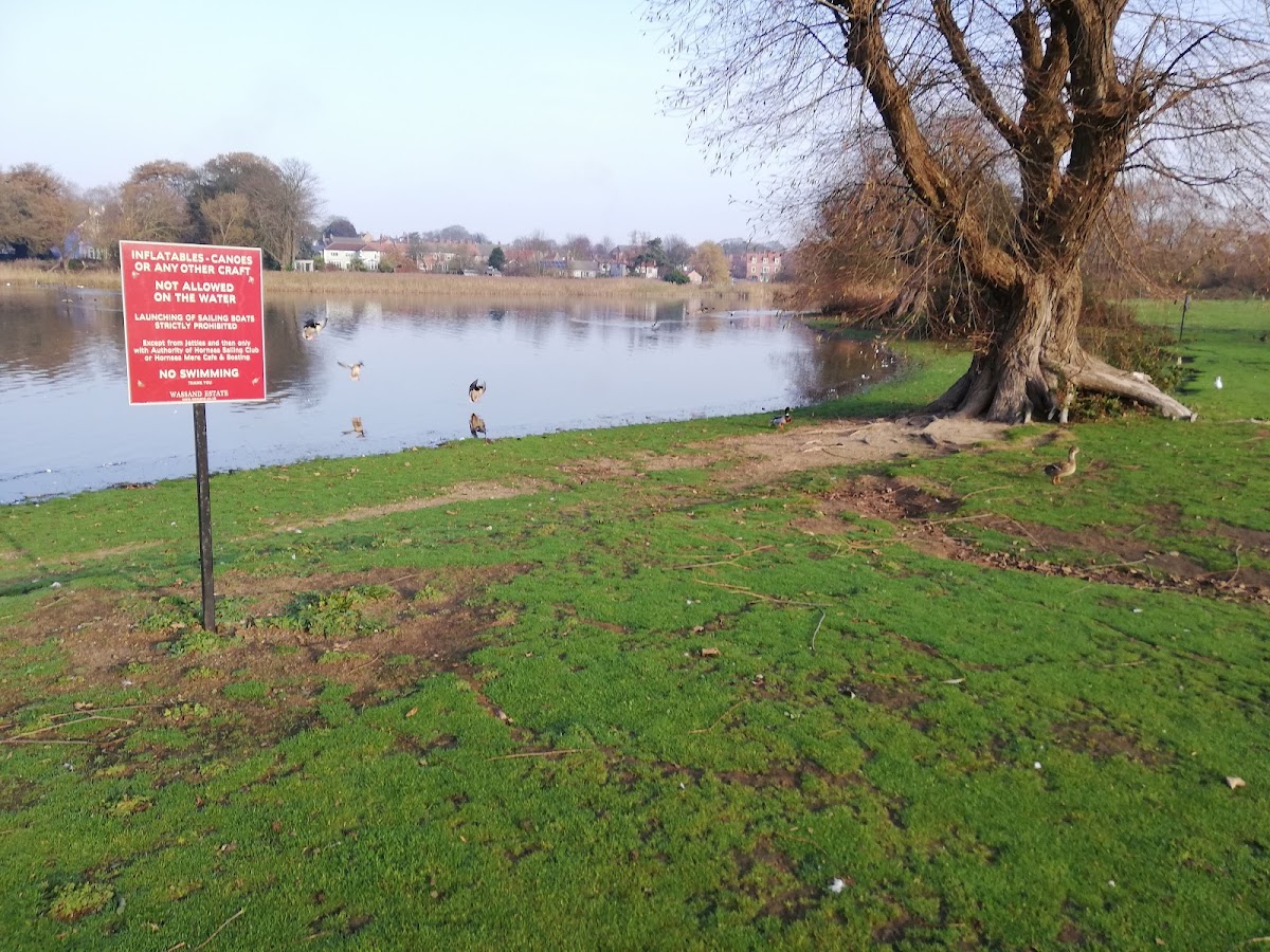 Hornsea Mere