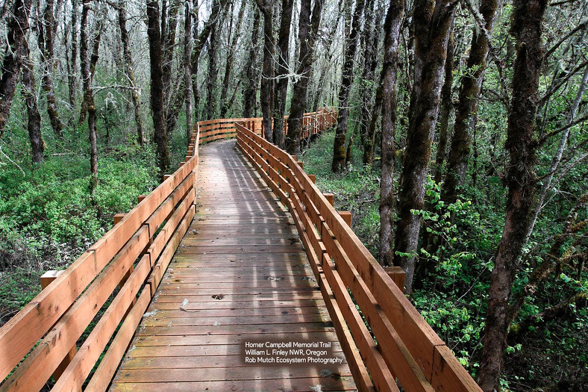 William L. Finley National Wildlife Refuge