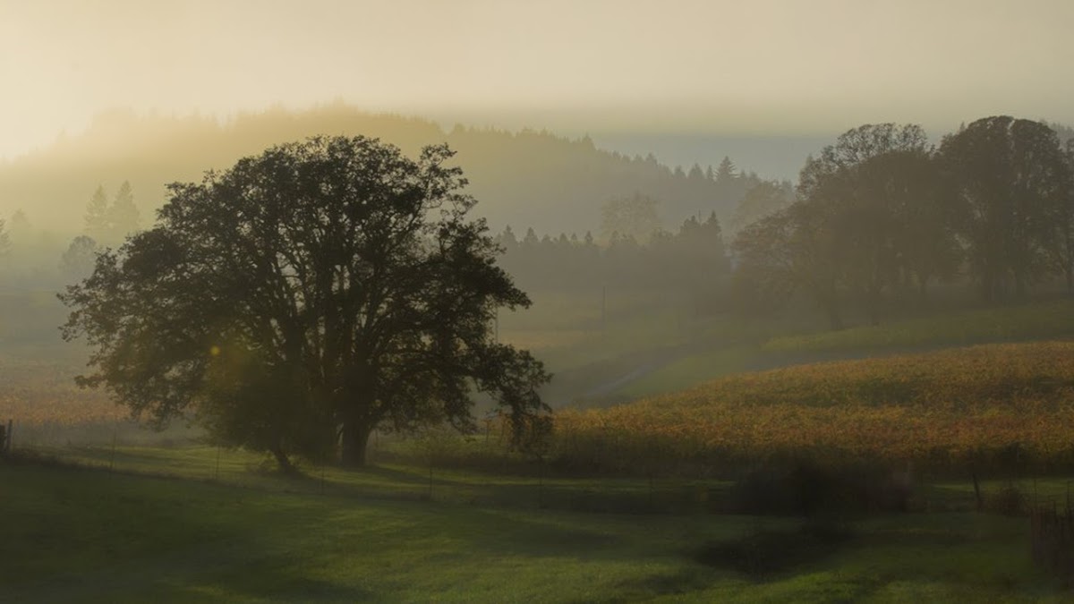 Benton-Lane Winery