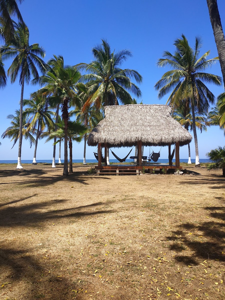 Tortugas Villas photo 2