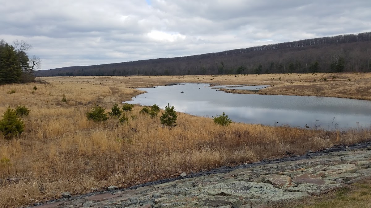 Meadow Grounds Lake