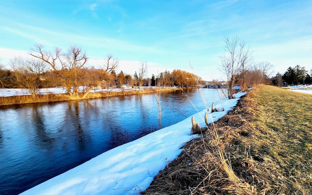 Brockton Parks & Recreation