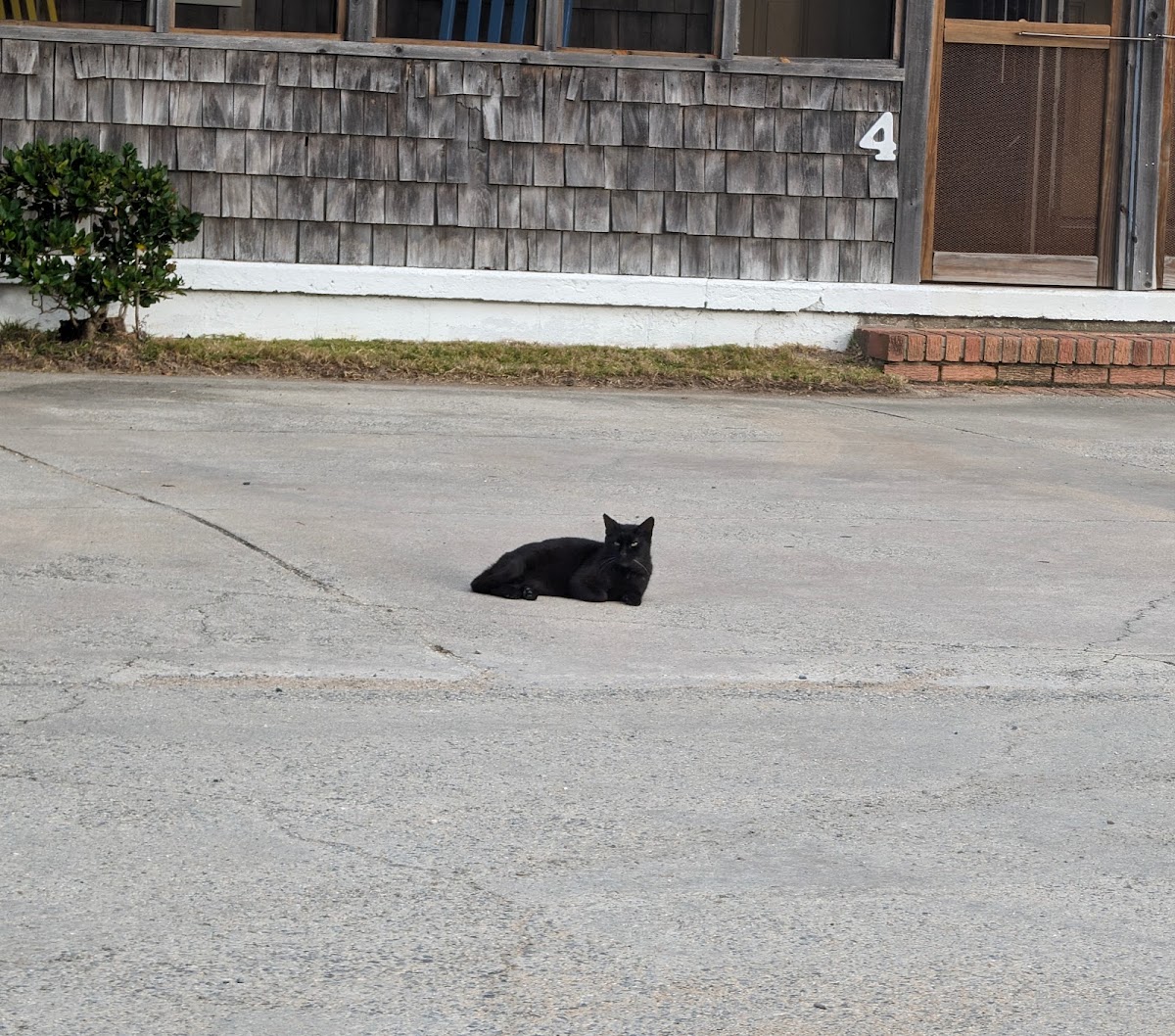 Yaupon Inn photo 3