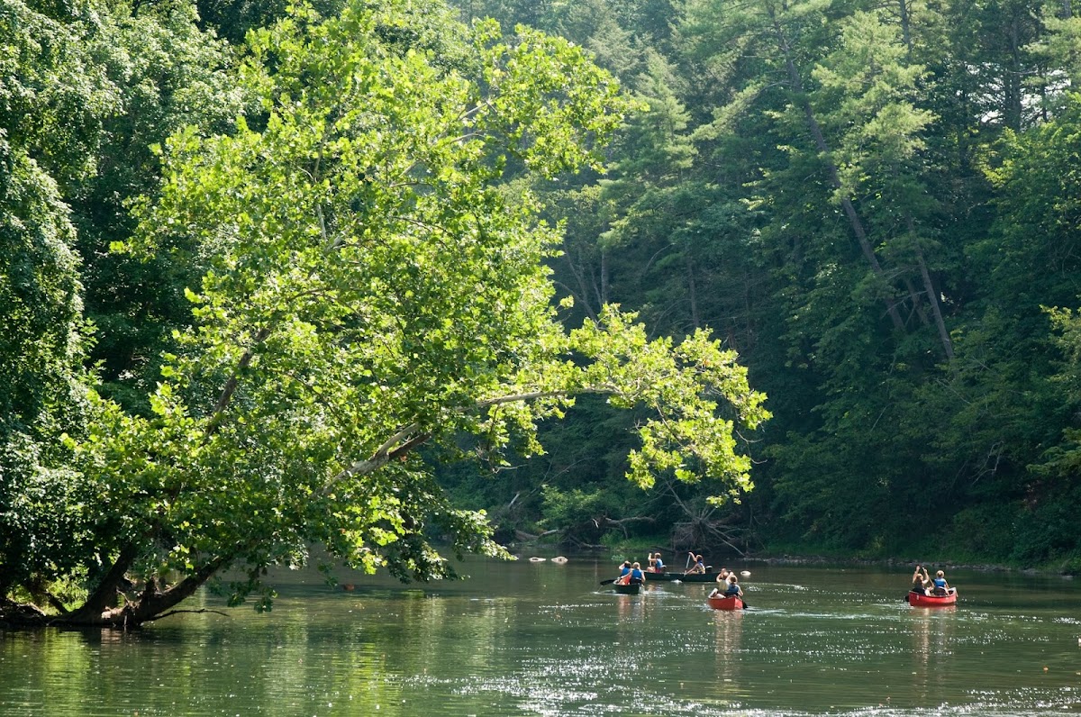 Camp Mont Shenandoah