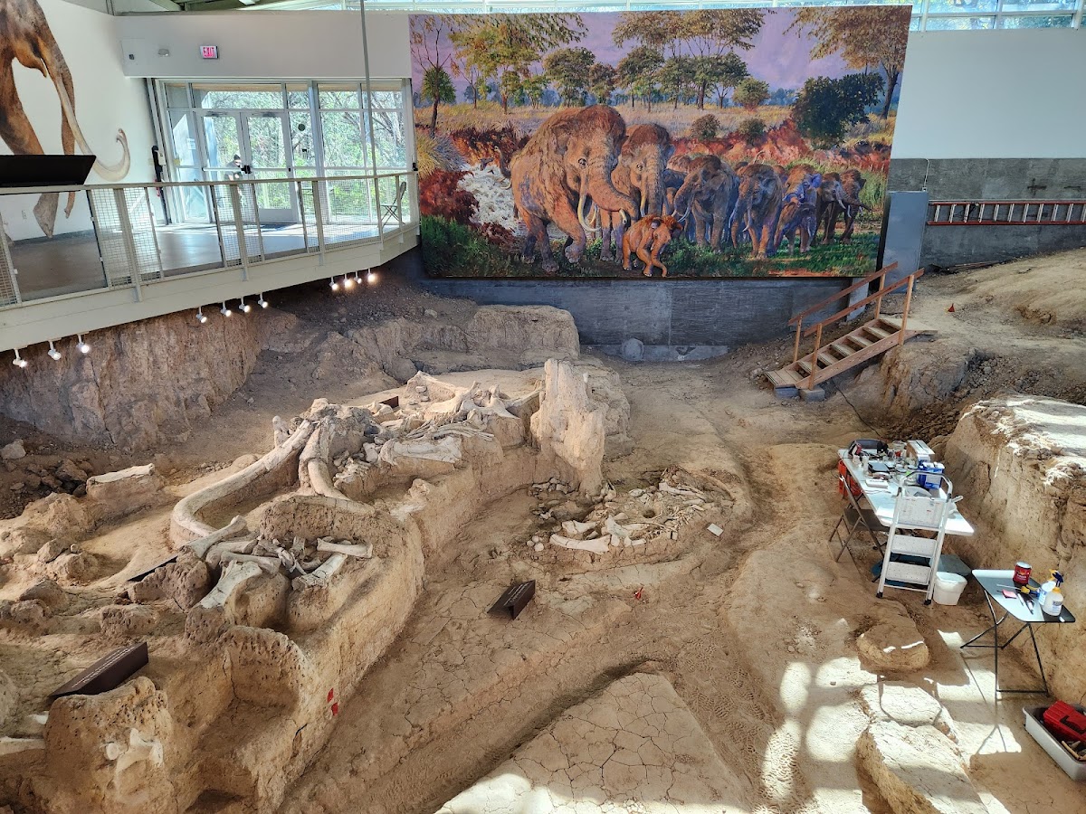 Waco Mammoth National Monument