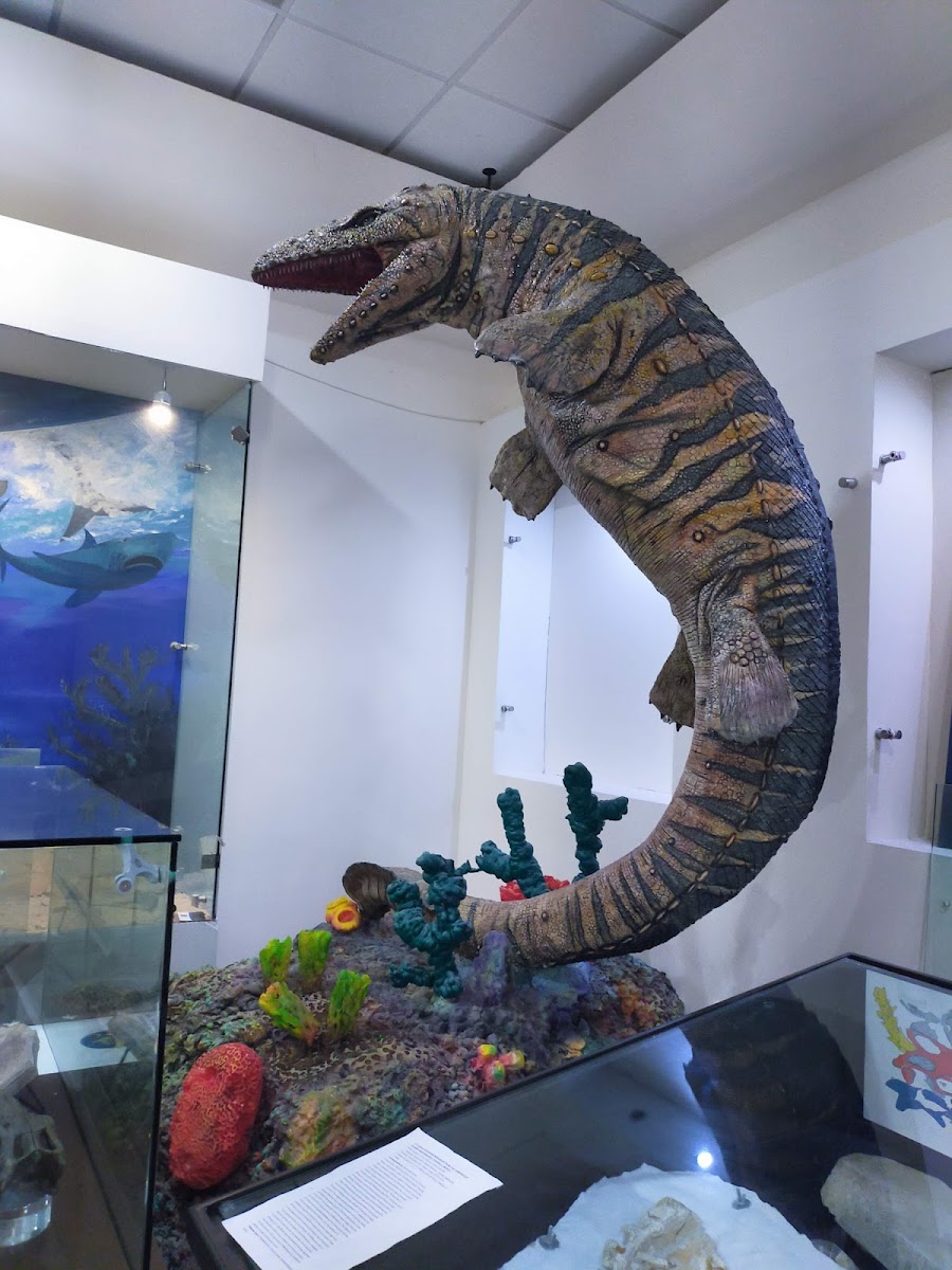 Paleontological Museum Múzquiz