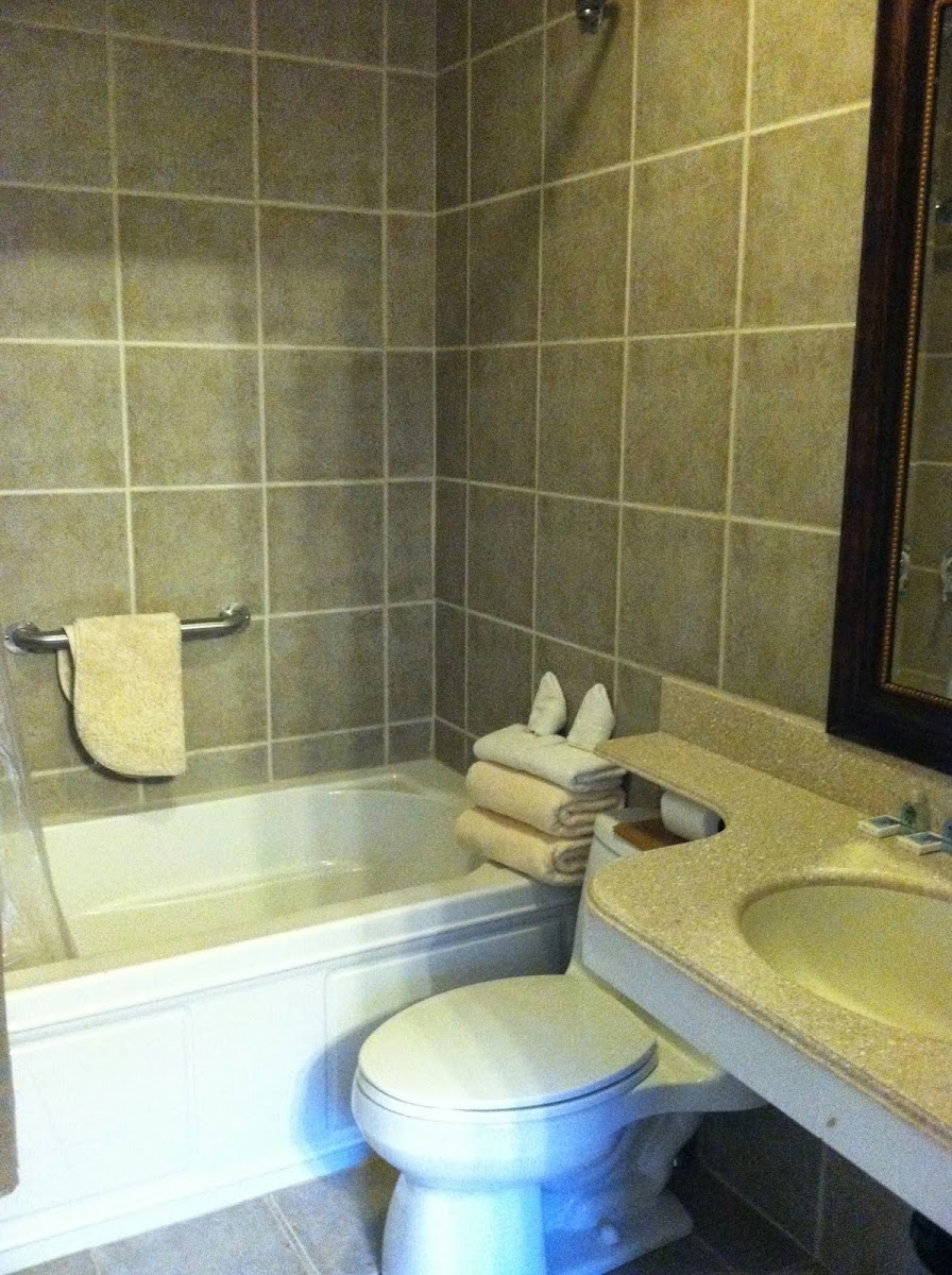 Lanesborough Country Inn photo 3