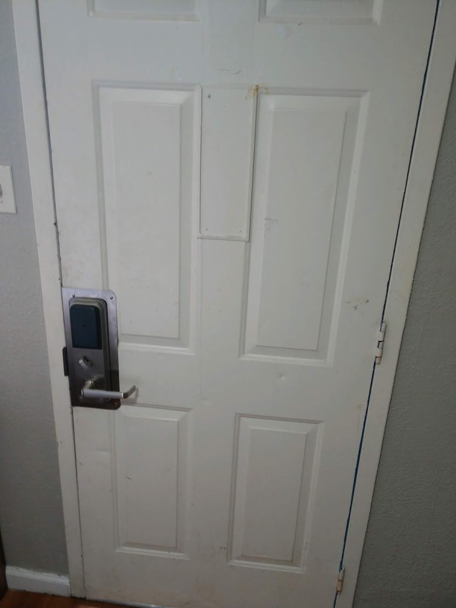 OYO Inn Dallas South photo 3