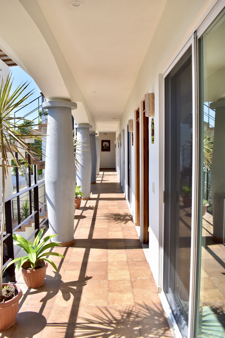 CARRI SURF STUDIO photo 2