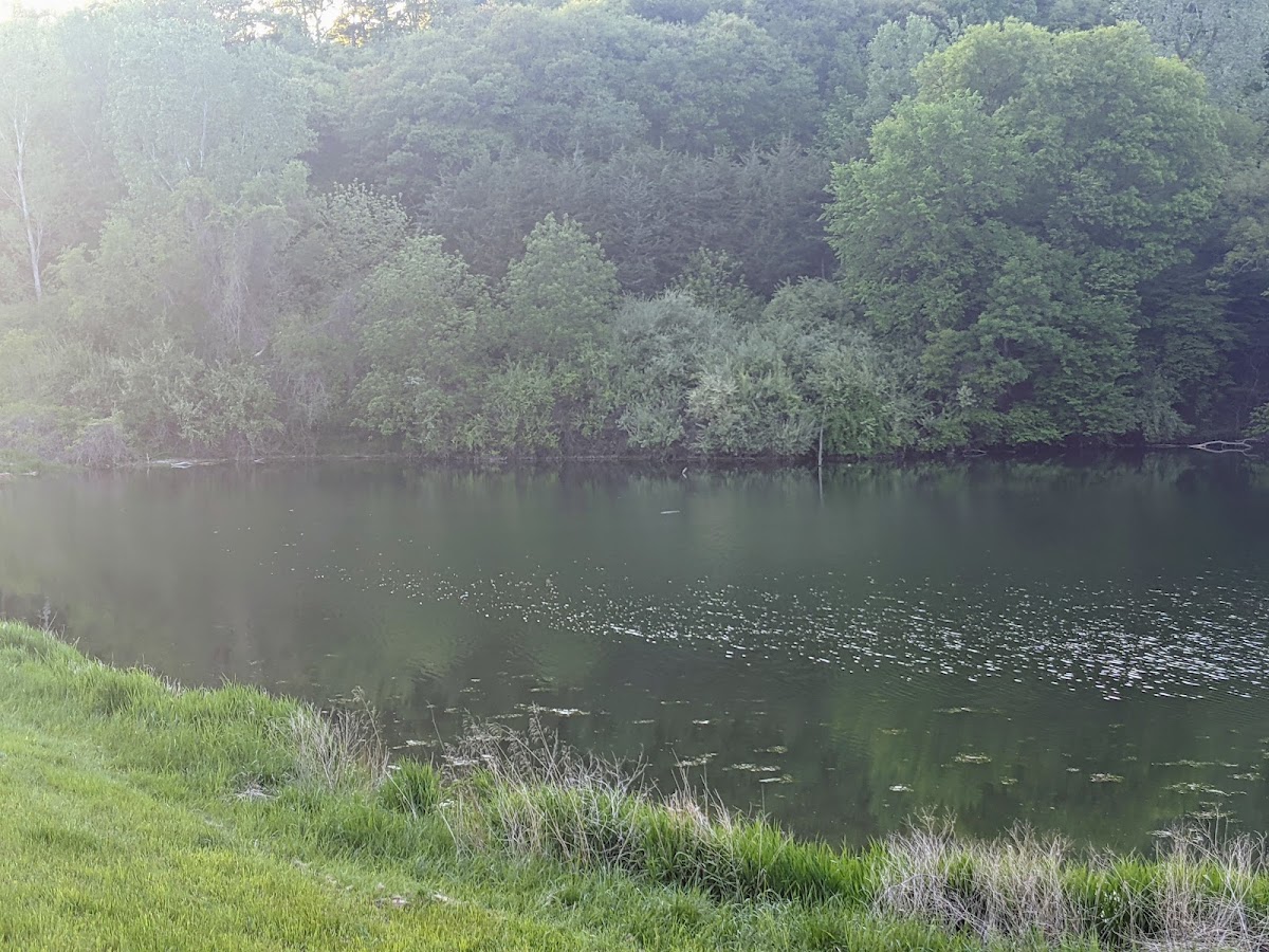 Charity Lake