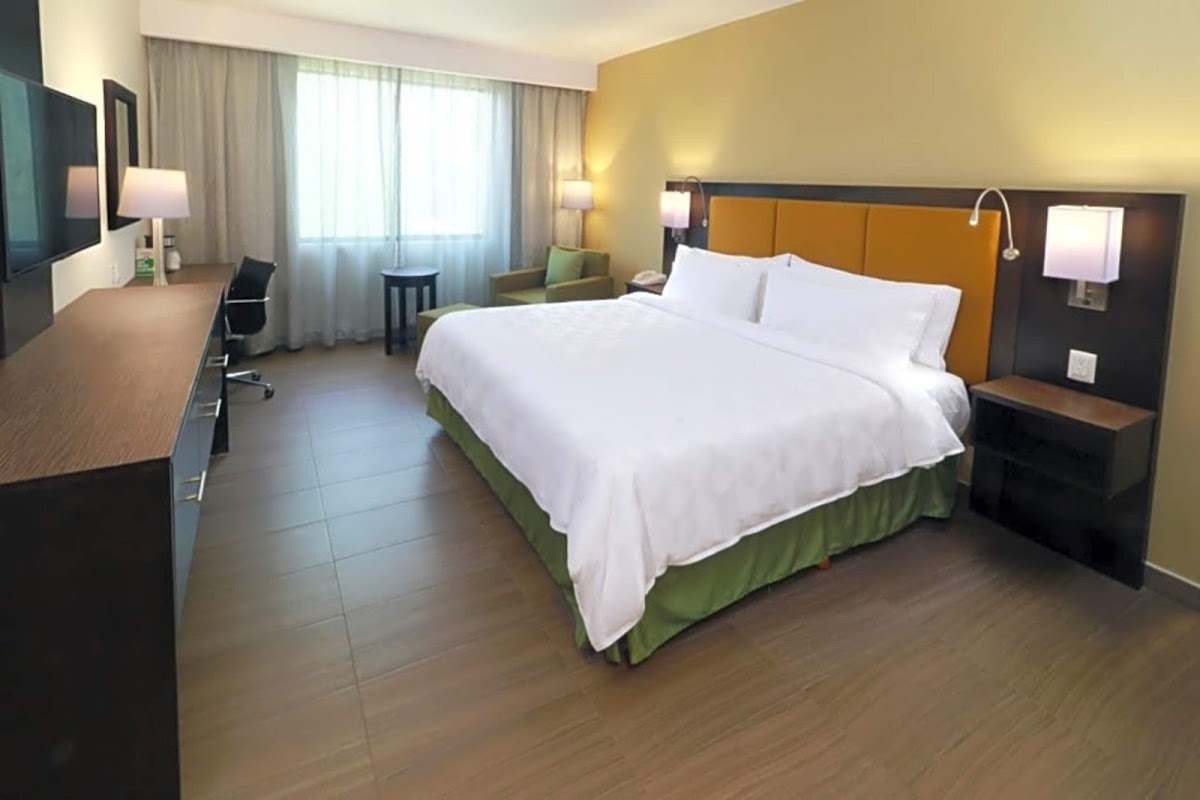 Holiday Inn Tampico Altamira by IHG photo 2