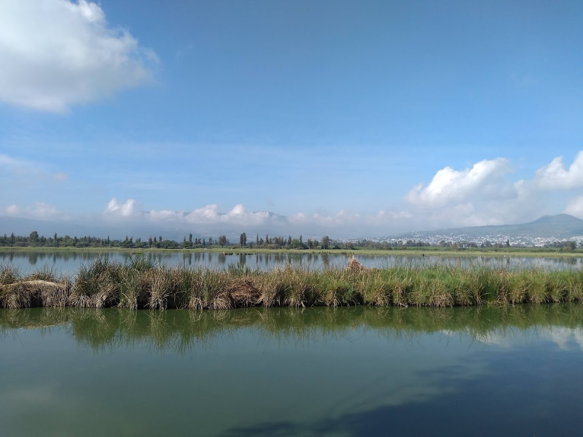 Chalco Lake