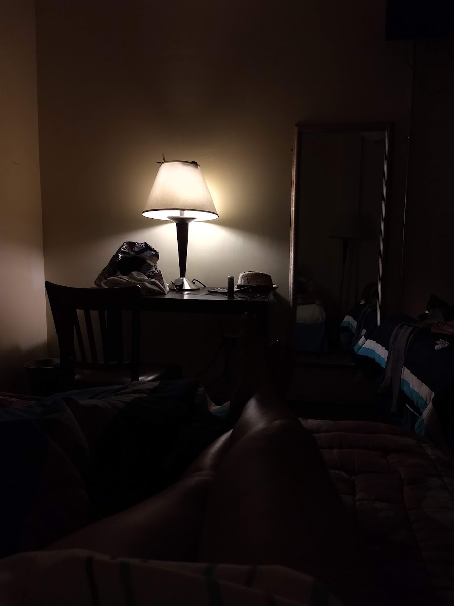 Hotel Zplendid photo 3