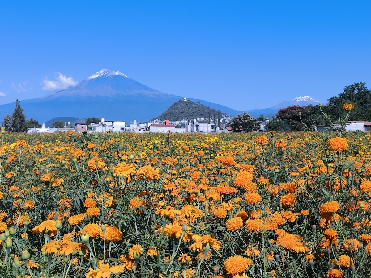 Valle de Catrinas
