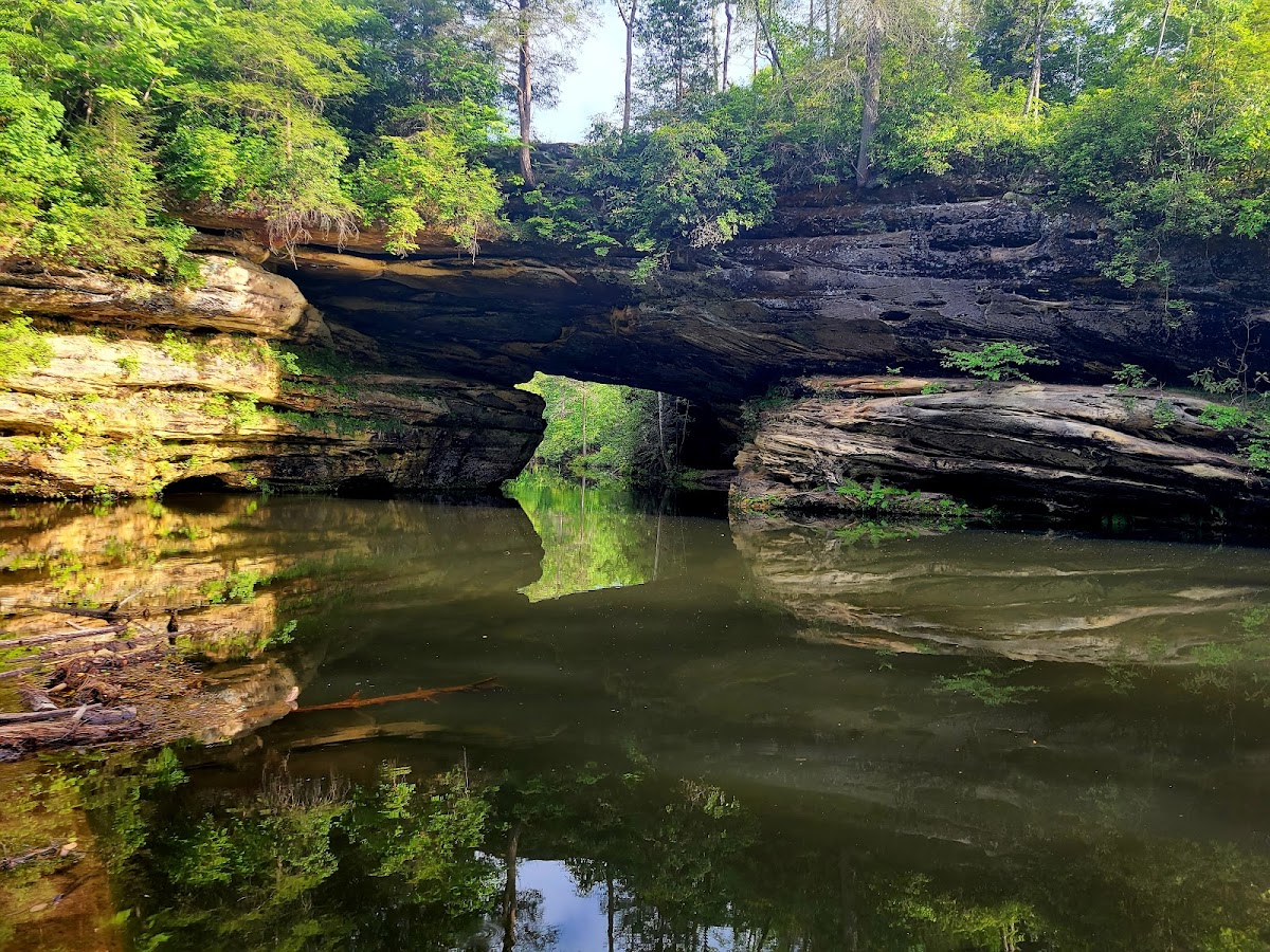 Pickett CCC Memorial State Park