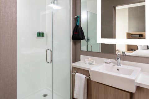 SpringHill Suites by Marriott Charlotte Huntersville photo 3