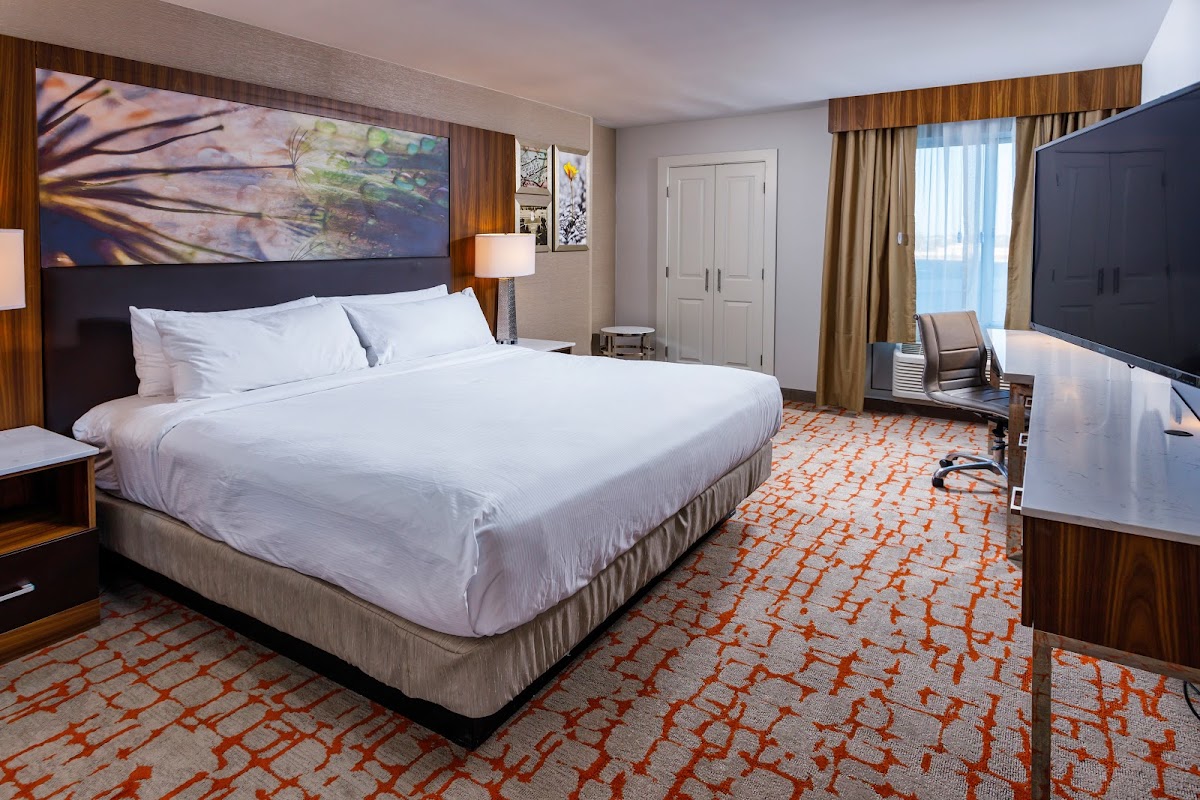 DoubleTree by Hilton Appleton photo 2