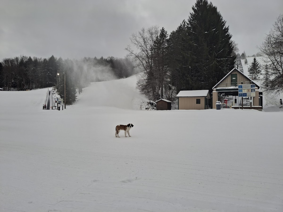 Kissing Bridge All Seasons Resort Inc photo 2