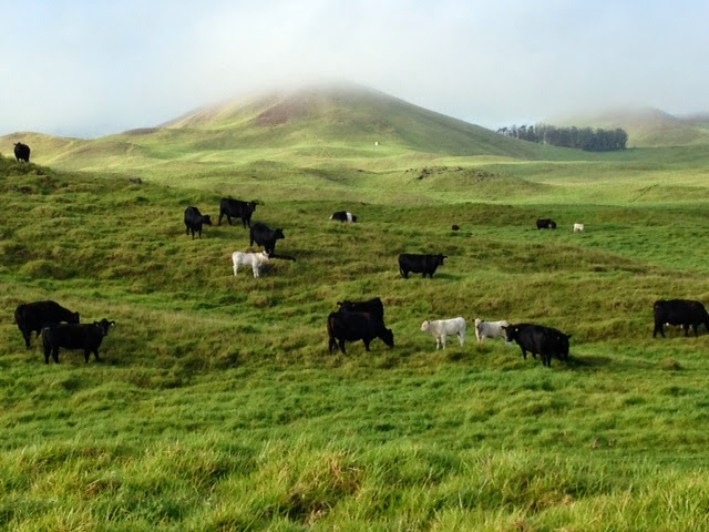 Parker Ranch Headquarters