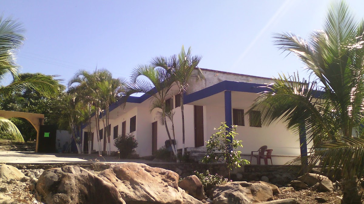 Bungalows Alex