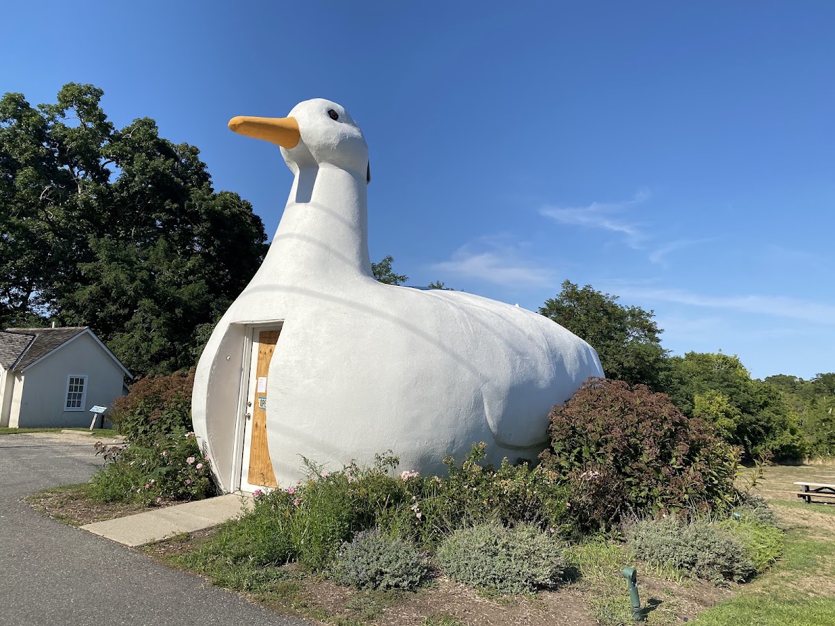 The Big Duck