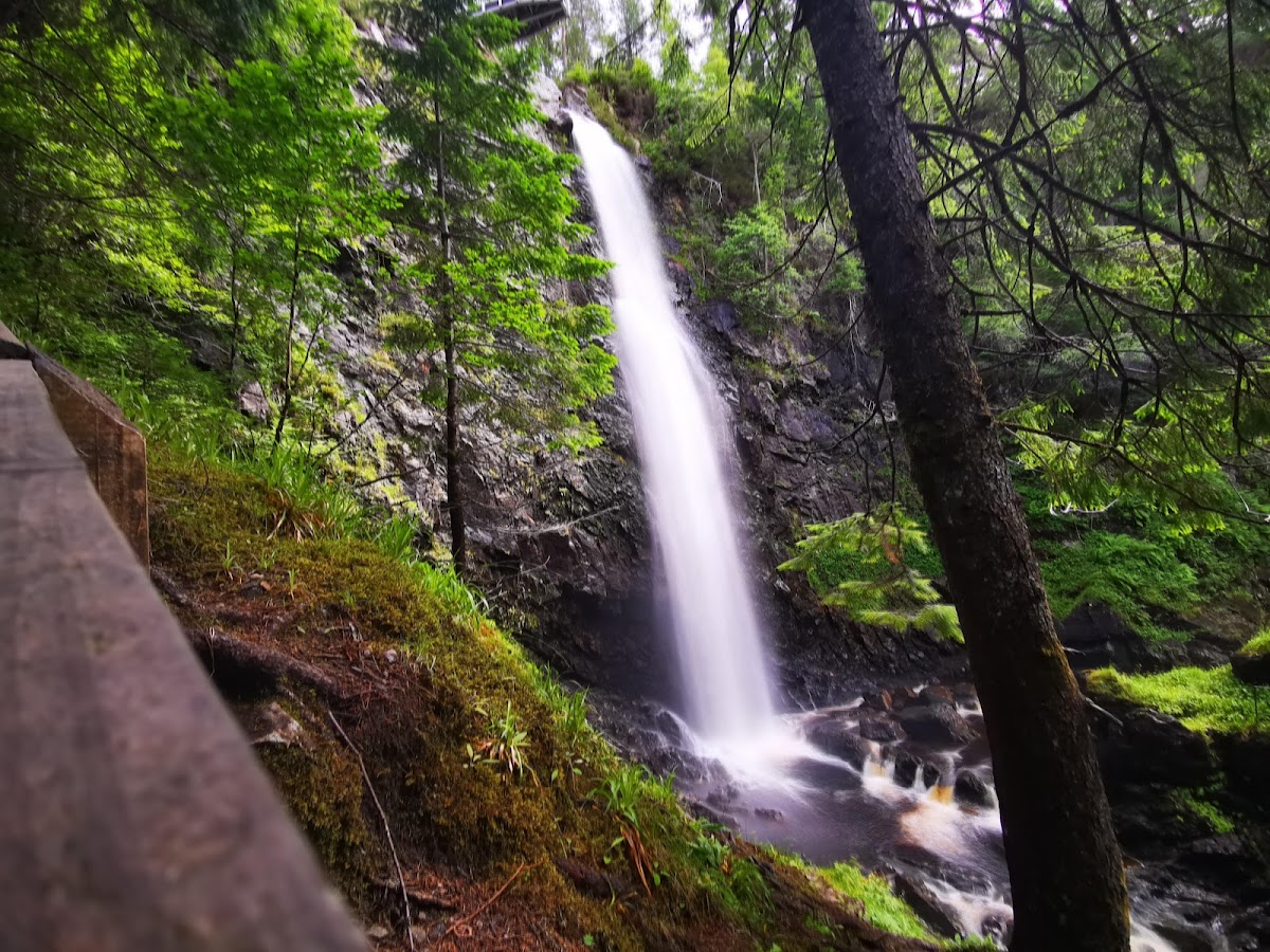 Plodda Falls
