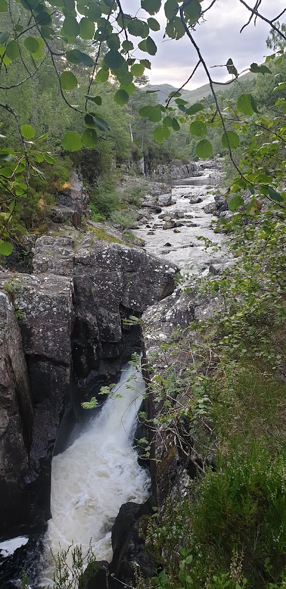 Dog Falls