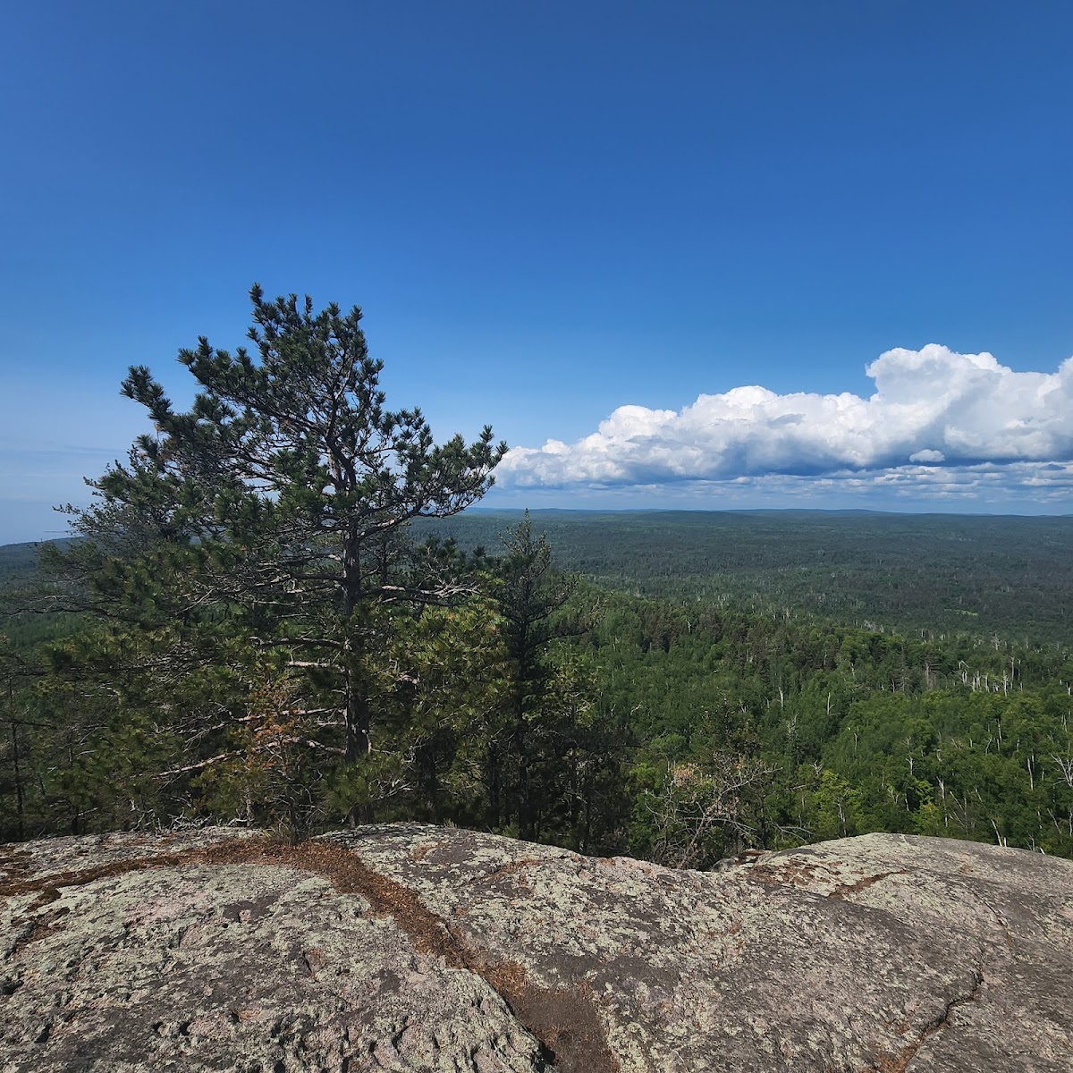 Carlton Peak