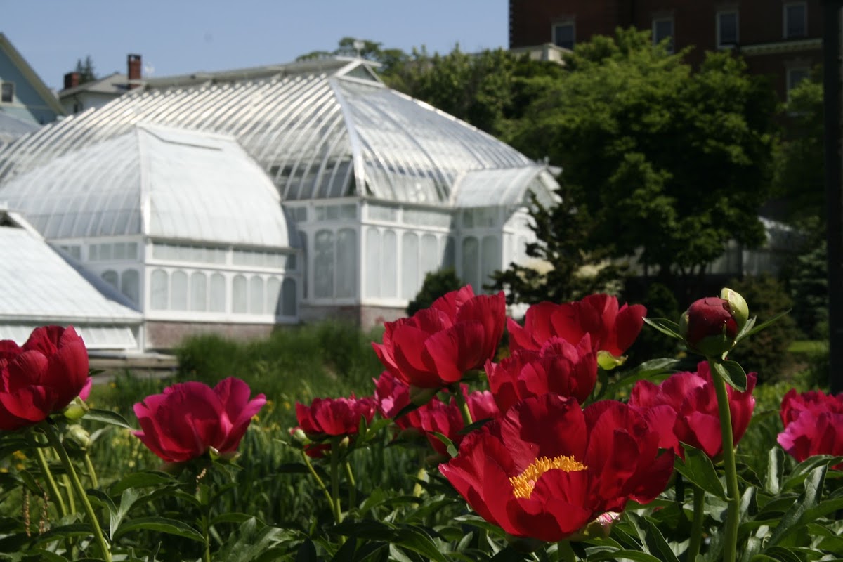 The Botanic Garden of Smith College