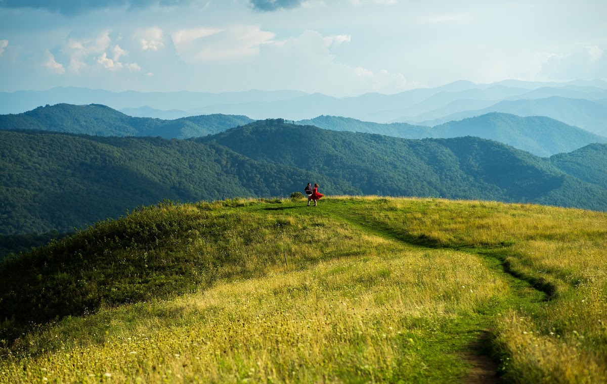 Max Patch