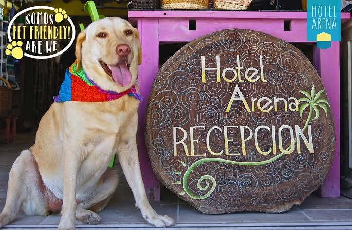 Hotel Arena photo 3
