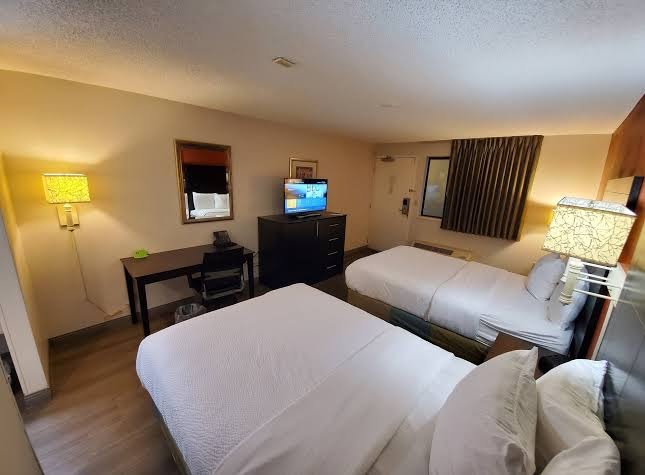 La Quinta Inn by Wyndham Tampa Near Busch Gardens photo 3