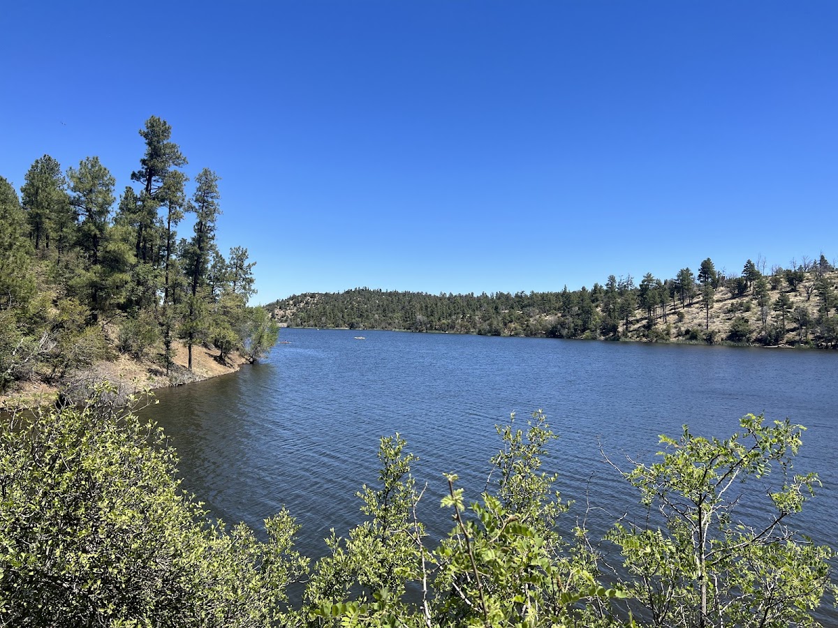 Prescott National Forest
